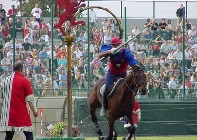 EVENTI STORICI E DI TRADIZIONE: 2° Corso sperimentale per il rilascio dell’attestato di “Cavaliere abilitato a partecipare a Giostre, Tornei e Palii”