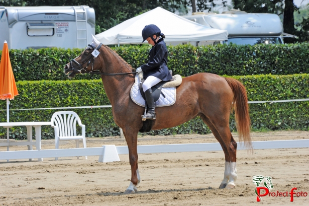PONY: Al via a Cervia il campionato italiano dressage