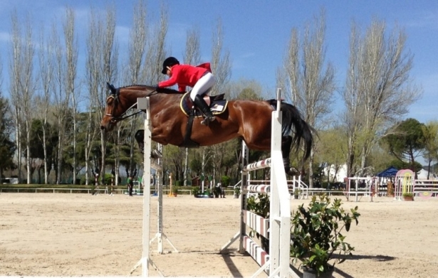 SALTO OSTACOLI: A Francesca Ciriesi il Gran Premio Young rider di Arezzo