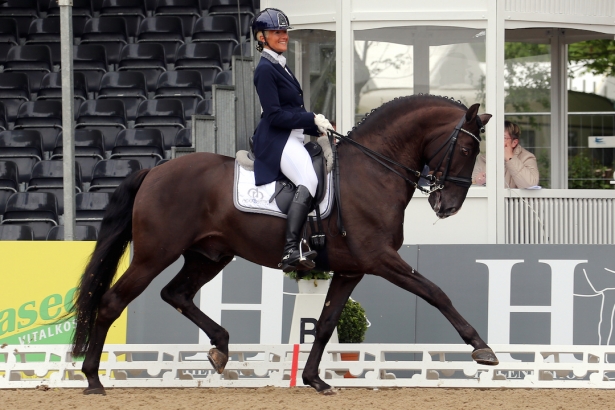 DRESSAGE: Rizzo e Sal nel rettangolo di Lione