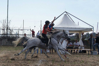 Endurance: programma 2012