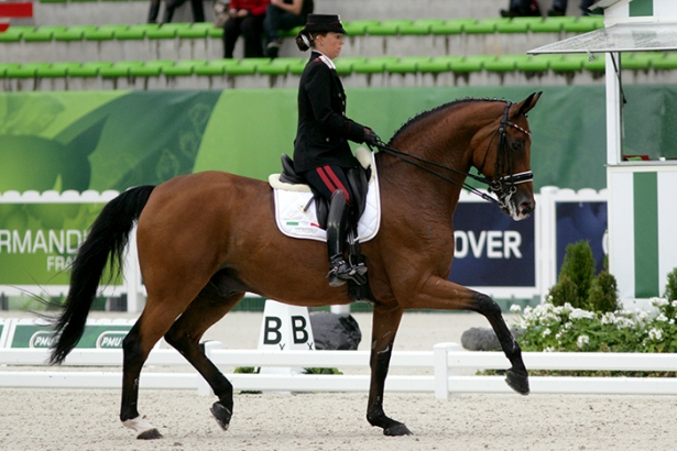 DRESSAGE: Al C.E. Monferrato stage con Ton de Ridder