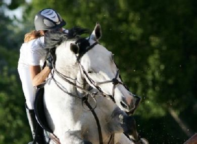 FISE: sempre più vincente la lotta al doping