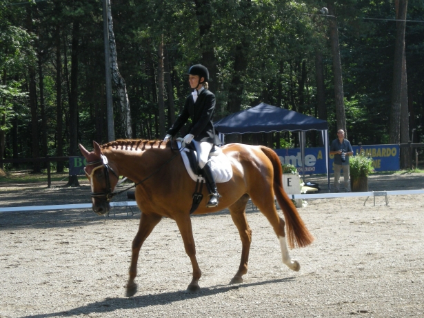 EQUITAZIONE PARALIMPICA: nominativi convocati per lo stage con Laura Conz