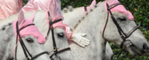 RIABILITAZIONE EQUESTRE: online il programma 2012