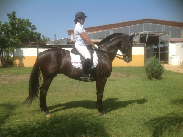 DRESSAGE: Rebecca Parodi a Jerez De La Frontera