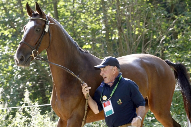 WEG2014: Attacchi. Mascheroni al via nel Dressage test