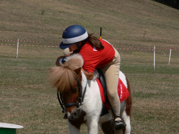CLUB: On line il programma Campionati elite di mounted games