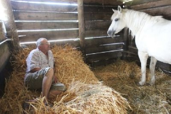 Lazzaro dorme col cavallo dopo il terremoto