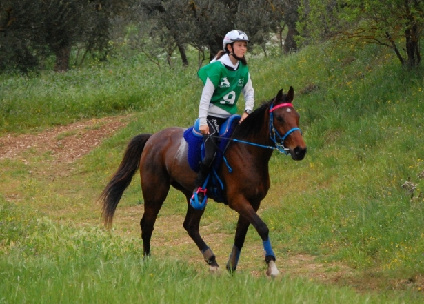 ENDURANCE: I giovani azzurri convocati per i Mondiali di Tarbes