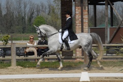 Riccardo Sanavio: Dressage per veri uomini 