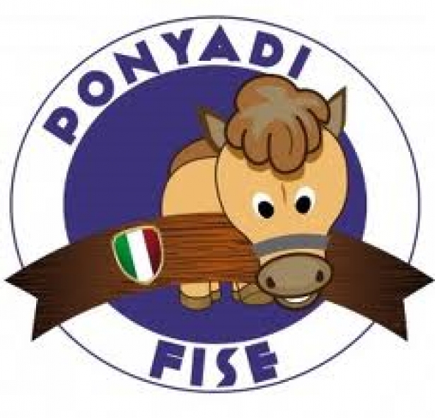 Ponyadi 2013