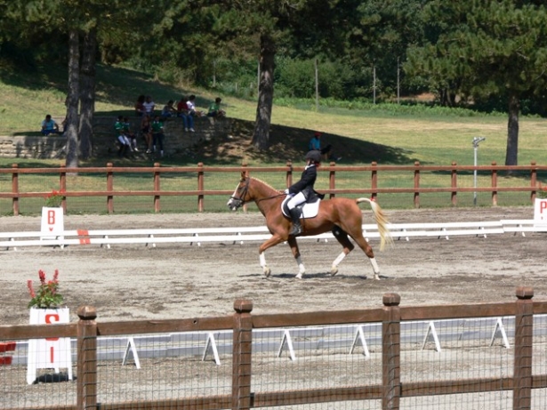 DRESSAGE: Partito il Campionato Italiano Pony