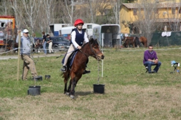 Ludico ed endurance pony: il 24 giugno si gareggia a Vittorito