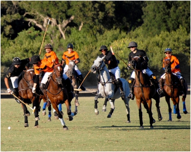 POLO: Partito il Campionato Italiano 2014