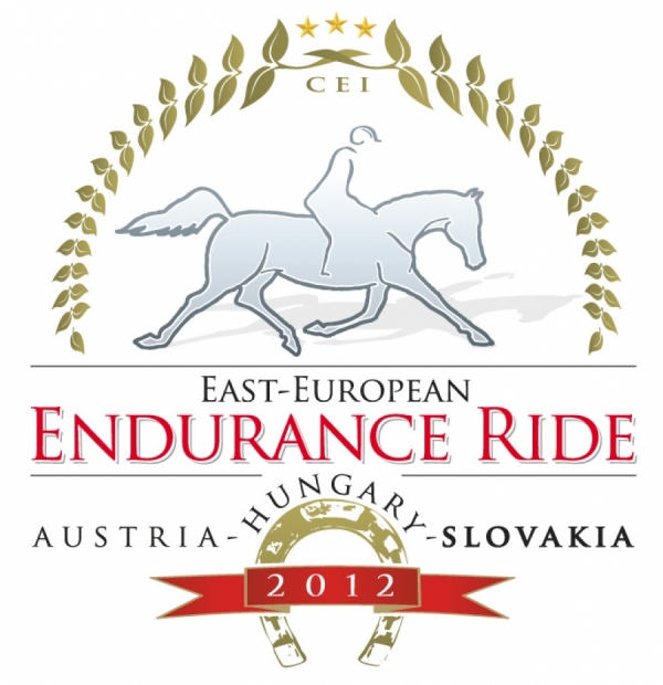 Endurance: acuto rosa dell'Italia alla