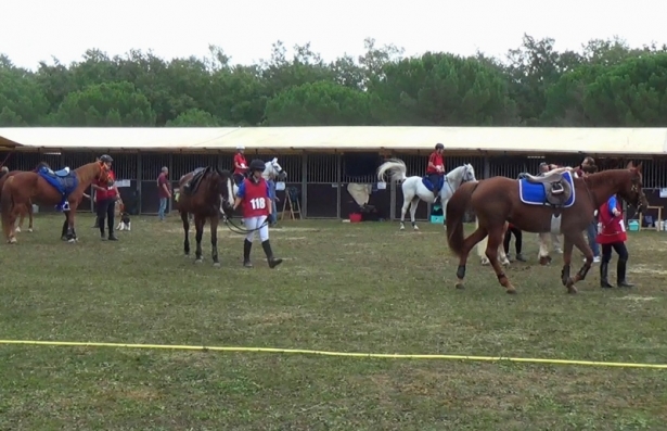 ENDURANCE: Ad Anghiari la Coppa delle Regioni 2015