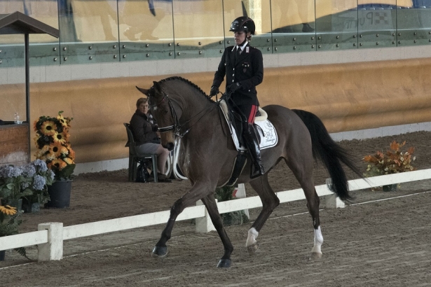 DRESSAGE: Truppa è terza nel GPS di Sommacampagna