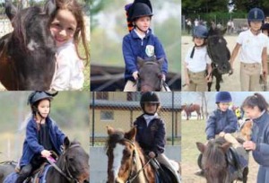 Ludico: prossima fermata, Chieti – Equestrian Dream
