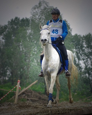 Endurance: spettacolo “gold” all'ippodromo del Castello