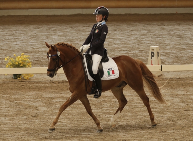 DRESSAGE: Giovani azzurri vincono e convincono a Sommacampagna