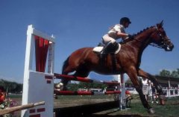 Discipline Olimpiche: tornano gli stage con Gerhard Meier