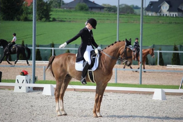 DRESSAGE: Schumann in trasferta in Ungheria