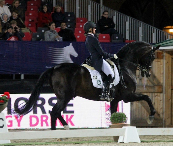 DRESSAGE: Così le azzurre in Qatar