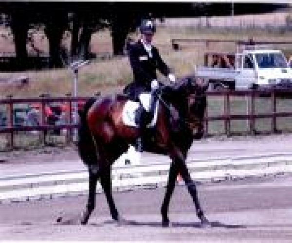 Paradressage: a Casorate domina il campione Vigon
