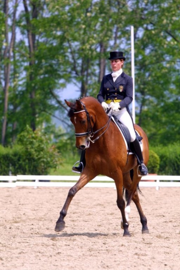FISE: LAURA CONZ COORDINATORE TECNICO DIPARTIMENTO DRESSAGE 