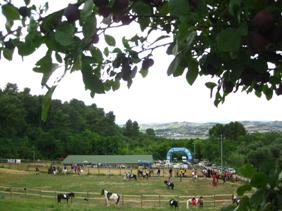 Ludico ed Endurance Pony: appuntamento il 13 maggio a San Giovanni Teatino (Chieti)