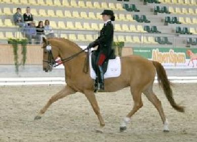 Dressage: Truppa e Chablis al sesto posto nel freestyle