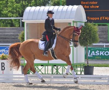 Dressage: avanti tutta a Vidauban!