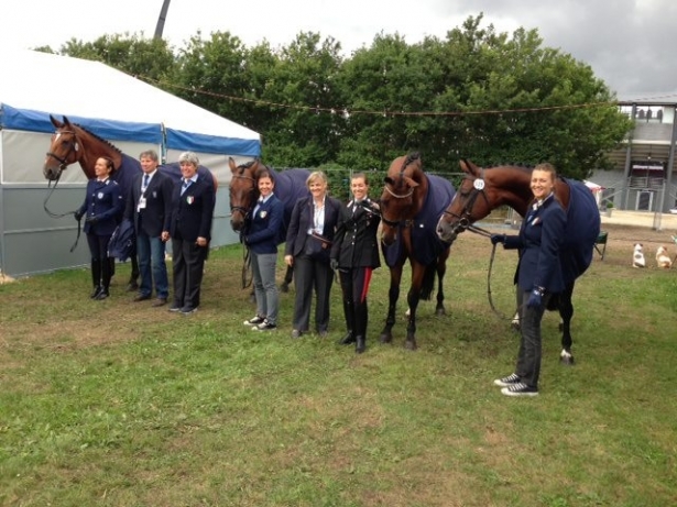 DRESSAGE: Herning, è conto alla rovescia per il rettangolo continentale