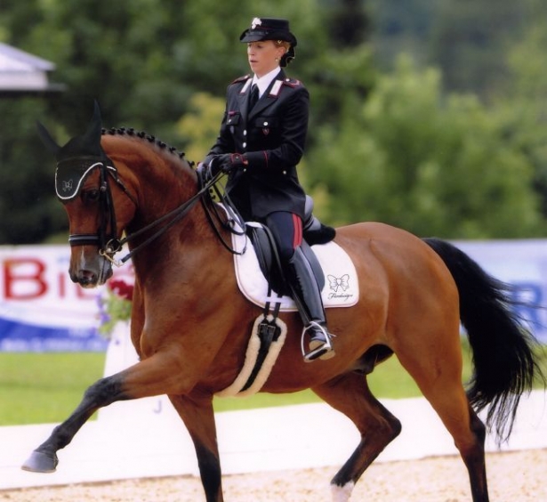 Dressage: Truppa settima nel 3 stelle di Treffen