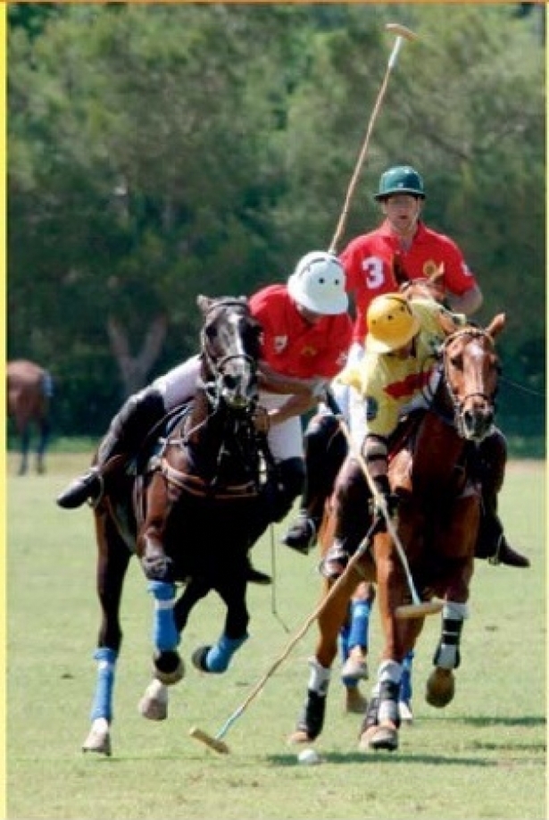 POLO: Universitari in campo