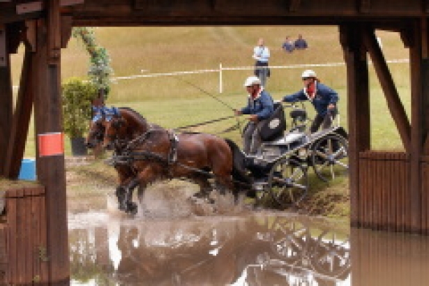 Attacchi: World Cup. Grande novità di Fieracavalli 2013