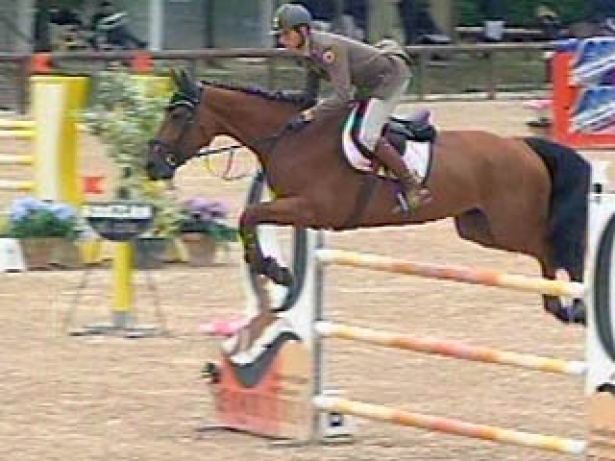 SALTO OSTACOLI: Super Zorzi a Geesteren, terzo nel Gran Premio