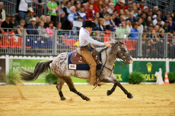 WEG2014: Reining. Azzurri finalisti
