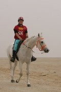 Endurance: domenica 13 maggio stage sulla biomeccanica del cavallo al Podere 3C
