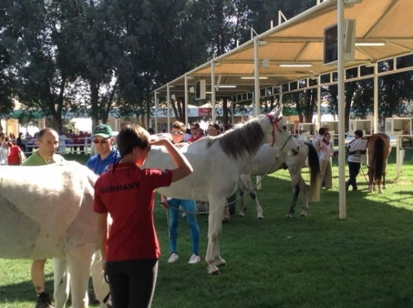 ENDURANCE: Live dalla Ladies Cup di Abu Dhabi