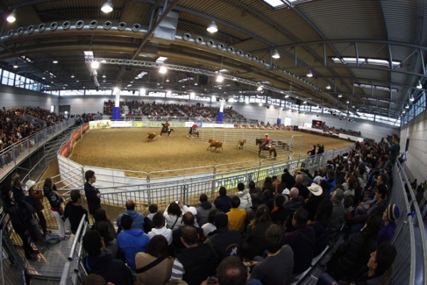 TEAM PENNING: classifiche finali del campionato italiano FISE 2012