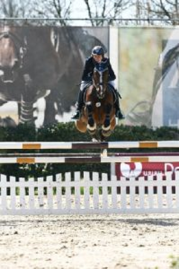 SALTO OSTACOLI: Presentazione attività nazionale e internazionale 2014