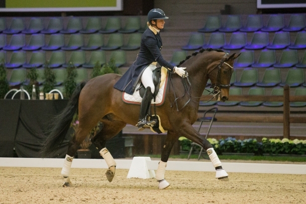 DRESSAGE: Super Paoli a Lier