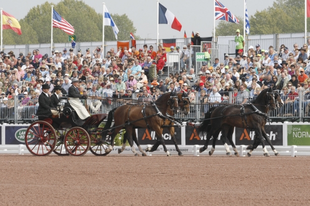 WEG2014: Attacchi. Mascheroni chiude il dressage test con 71.21