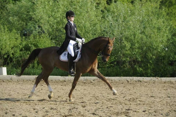 DRESSAGE: I risultati delle azzurrine a Hagen