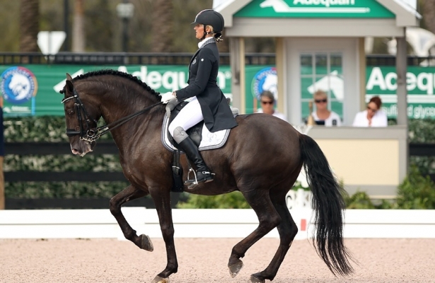 DRESSAGE: Rizzo e Sal. Affiatamento in continua crescita