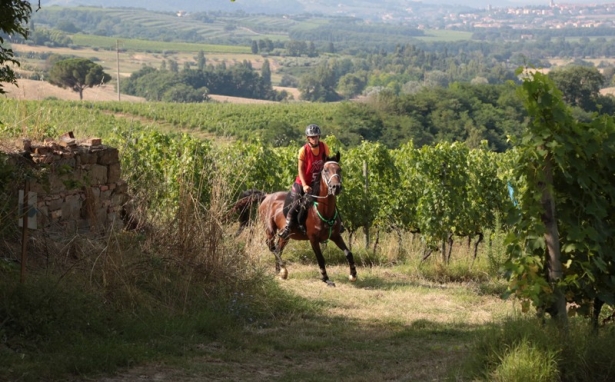 ENDURANCE: Raduno giovanile in vista di CEIO San Rossore