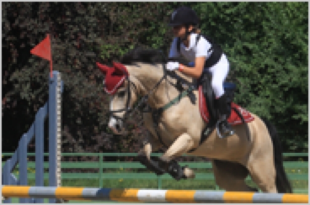 SALTO OSTACOLI: Time table Criterium Pony Cassia Antica Country Club