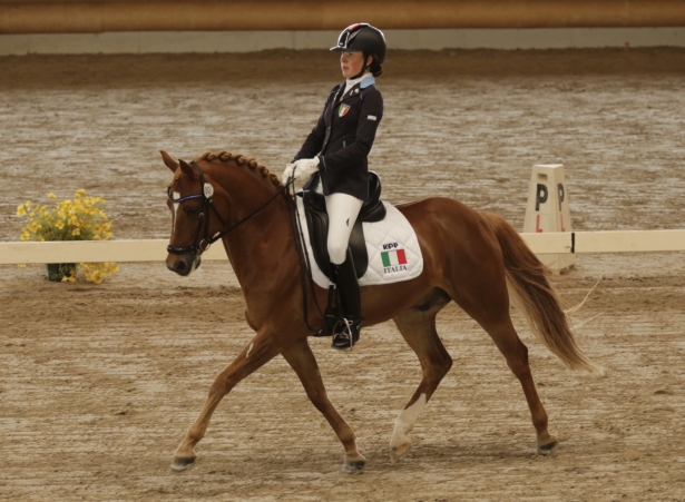DRESSAGE: